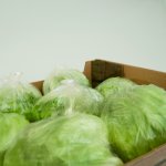Iceberg lettuce packing